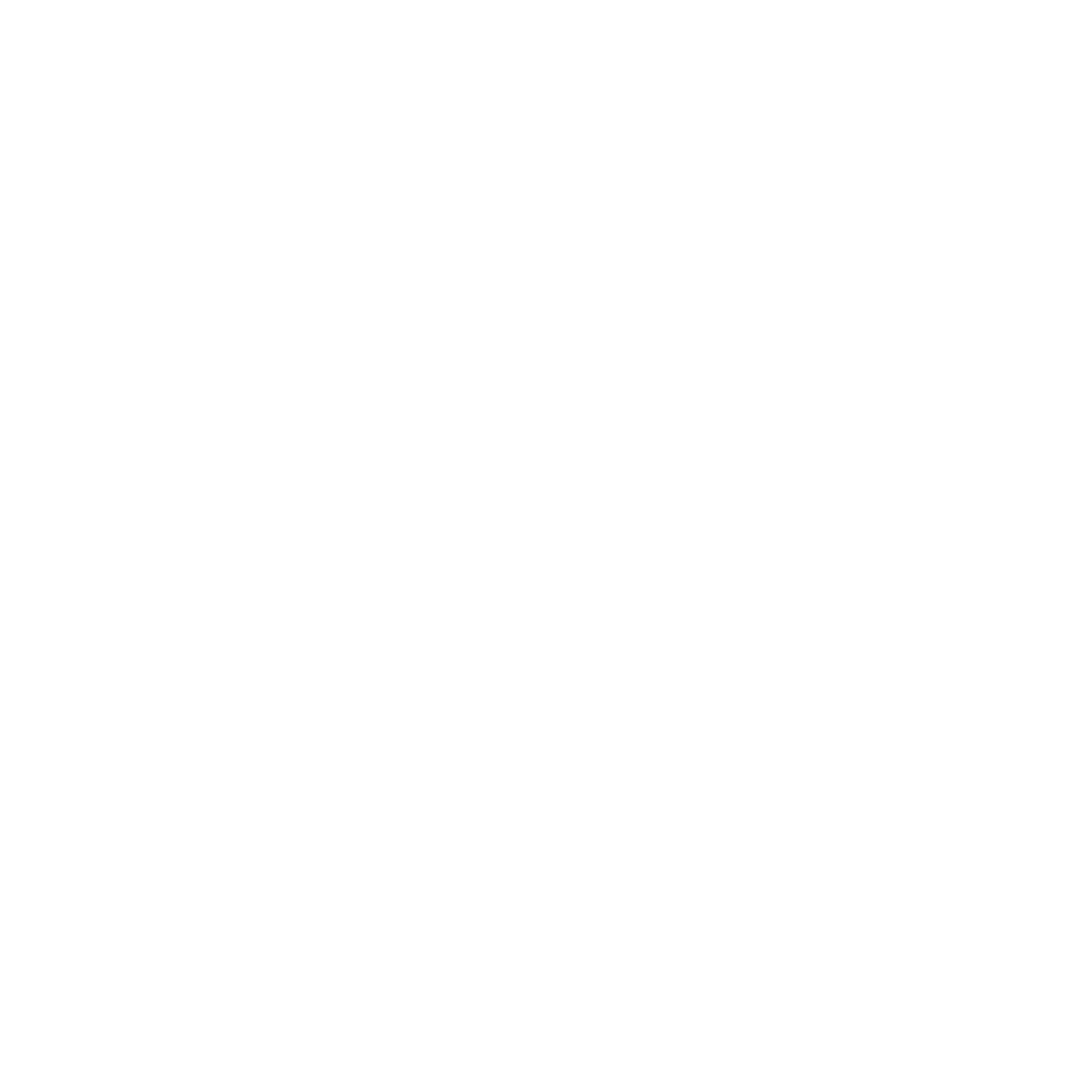 3C Capital